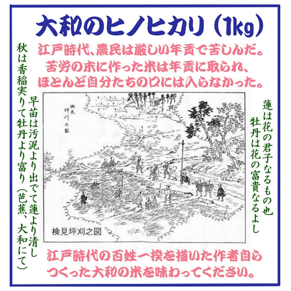 【ふるさと納税】大津皇子の小説等郷土本と作者自作の米1kg [1146]