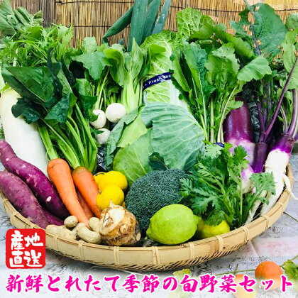 [野菜セット] 産地直送！新鮮とれたて旬の野菜 [1140]