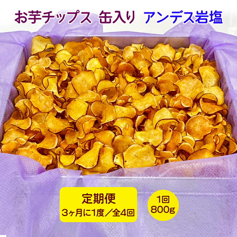 [定期便/3ヶ月に1度 全4回] お芋チップス缶入り (800g) アンデス岩塩 [1655]