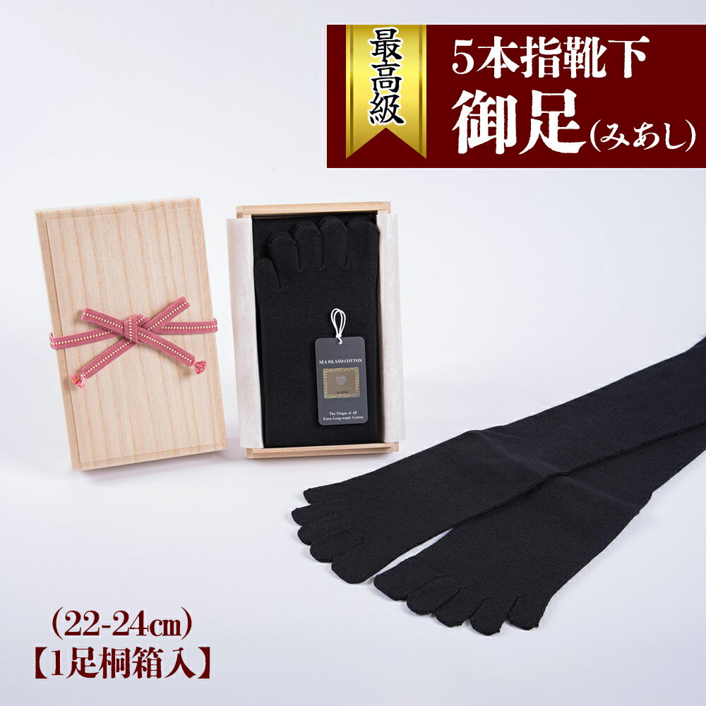 25位! 口コミ数「0件」評価「0」最高級5本指靴下「御足 (みあし)」(22-24cm)【1足桐箱入】[1670]