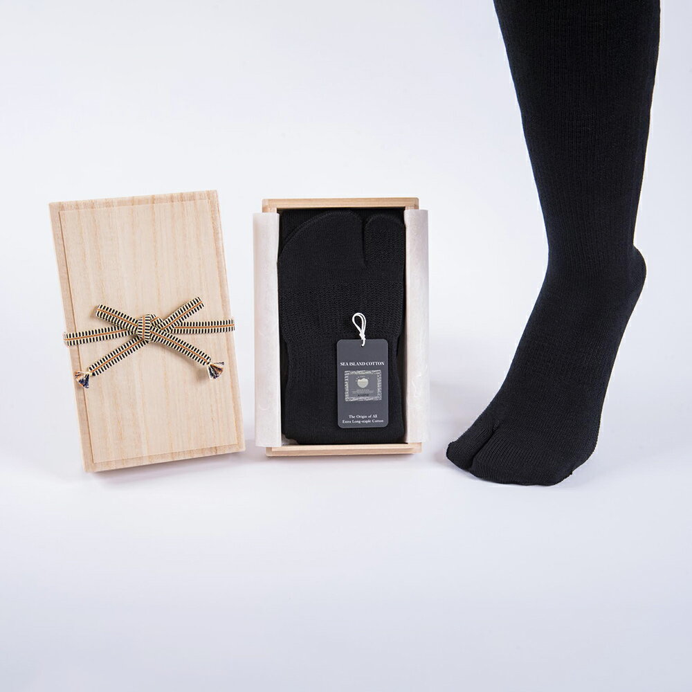 【ふるさと納税】最高級 タビ靴下「御足 (みあし)」(25-27cm)【1足桐箱入】｜タビソックス 足袋ソックス くつ下 くつした [2494]