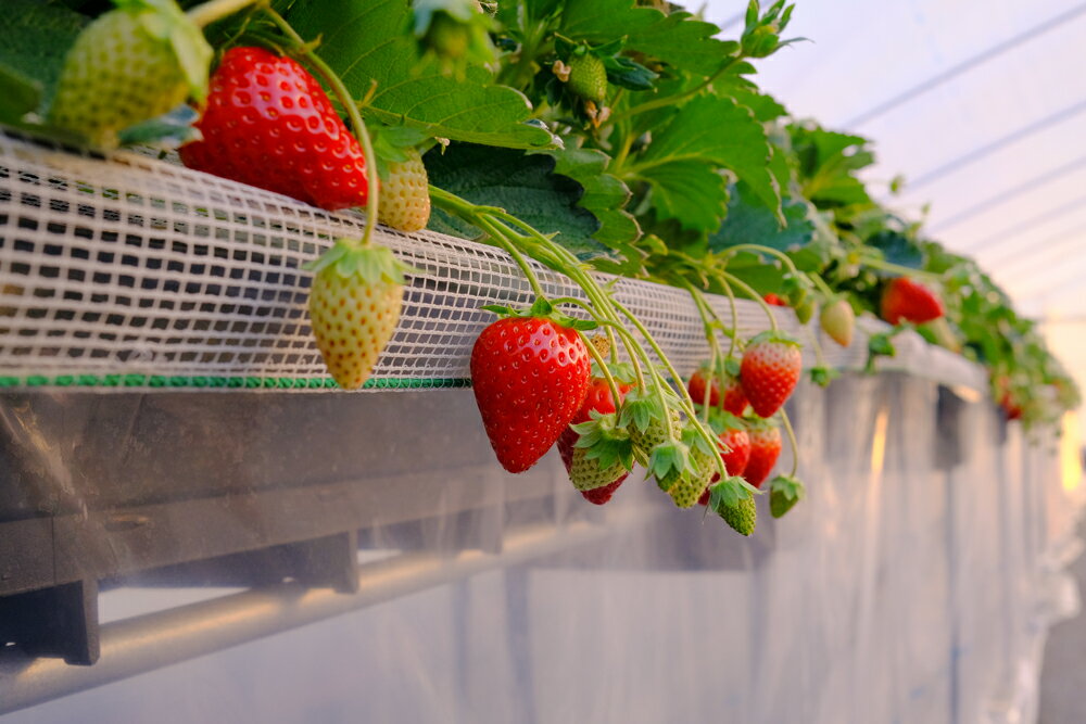 奈良県香芝市の画像3