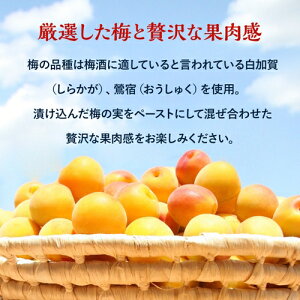 【ふるさと納税】梅乃宿 あらごし梅酒 720ml／濃厚 デザート梅酒 果実たっぷり 葛城市 人気 おいしい