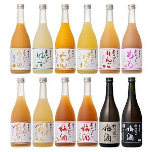 【ふるさと納税】あらごしシリーズ と 梅酒 720mL 12本 セット ／ 梅乃宿酒造 リキュール みっく酒 ゆず みかん パイン れもん もも りんご ジンジャー 奈良県 葛城市