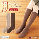 【ふるさと納税】エコソク ハイソックス 2足組 (ほっこりカラー) レディース / 靴下 ソックス ウール 暖かい 奈良県 葛城市