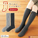 【ふるさと納税】エコソク ハイソックス 2足組 (まったりカラー) レディース / 靴下 ソックス ウール 暖かい 奈良県 葛城市