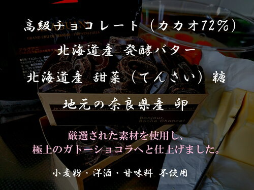 【ふるさと納税】（冷凍） ～栄養士の手づくり～ しあわせ感じる大人のガトーショコラ ／ ルナイエナ 小麦粉不使用 デザート スイーツ ギフトチョコレートケーキ チョコ バレンタイン 奈良県 葛城市