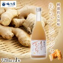 【ふるさと納税】梅乃宿 あらごしジンジャー 720ml / ジンジャー リキュール スパイシー 国産 すりおろし しょうが 爽やかな 香り 奈良県 葛城市