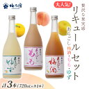 【ふるさと納税】大人気 リキュール の 3本 セット SG-45 (あらごし梅酒・もも・ゆず 720ml 各1本 ) / 梅乃宿酒造 お酒 リキュール ギフト ...
