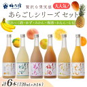 【ふるさと納税】あらごしシリーズ 720ml 6本 セット / 梅乃宿酒造 お酒 リキュール ギフト 贈り物 プレゼント 人気 メーカー直送 みっく酒 ゆず み...
