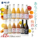 【ふるさと納税】あらごしシリーズと梅酒720ml 12本 セット / 梅乃宿酒造 お酒 リキュール ギフト 人気 メーカー直送 みっく酒 ゆず みかん れもん ...