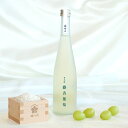 【ふるさと納税】 梅乃宿 果本酒 麝香葡萄 (マスカット) 500ml / 日本酒 フルーツ 果物 マスカット ぶどう 新感覚 お酒 純米大吟醸 贈り物 ギフト...