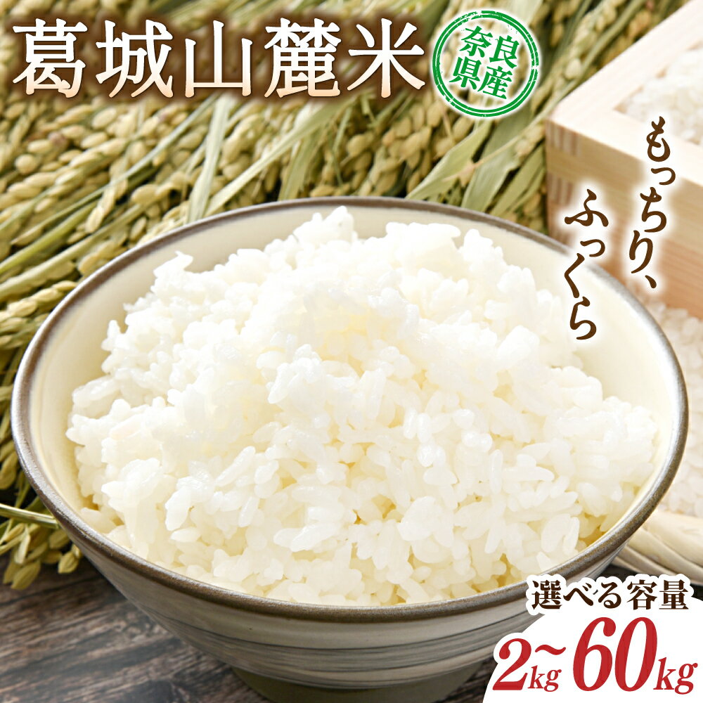 【ふるさと納税】先行予約 葛城山麓米 ヒノヒカリ（白米）2kg～60kg 令和7年産 【2025年10月下旬～順次発送】／ スマイル葛城農業 精米..