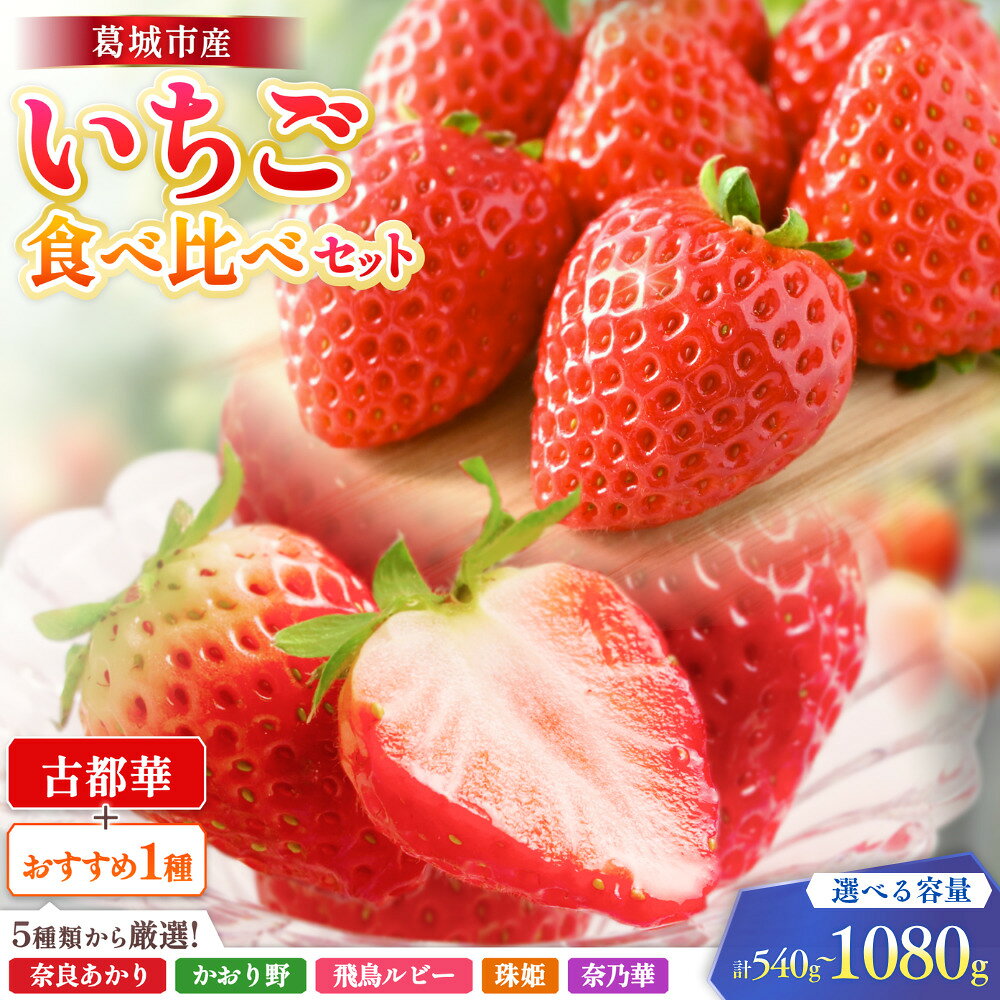 葛城市産いちご 2品種 2パック 計540g / 古都華+おすすめ1種 奈良あかり かおり野 アスカルビー 珠姫 奈乃華 苺 イチゴ 旬の果物 フルーツ 奈良県産 冷蔵 奈良県産 葛城市産 2品種 2パック 540g 甘い 濃厚 大粒 新鮮