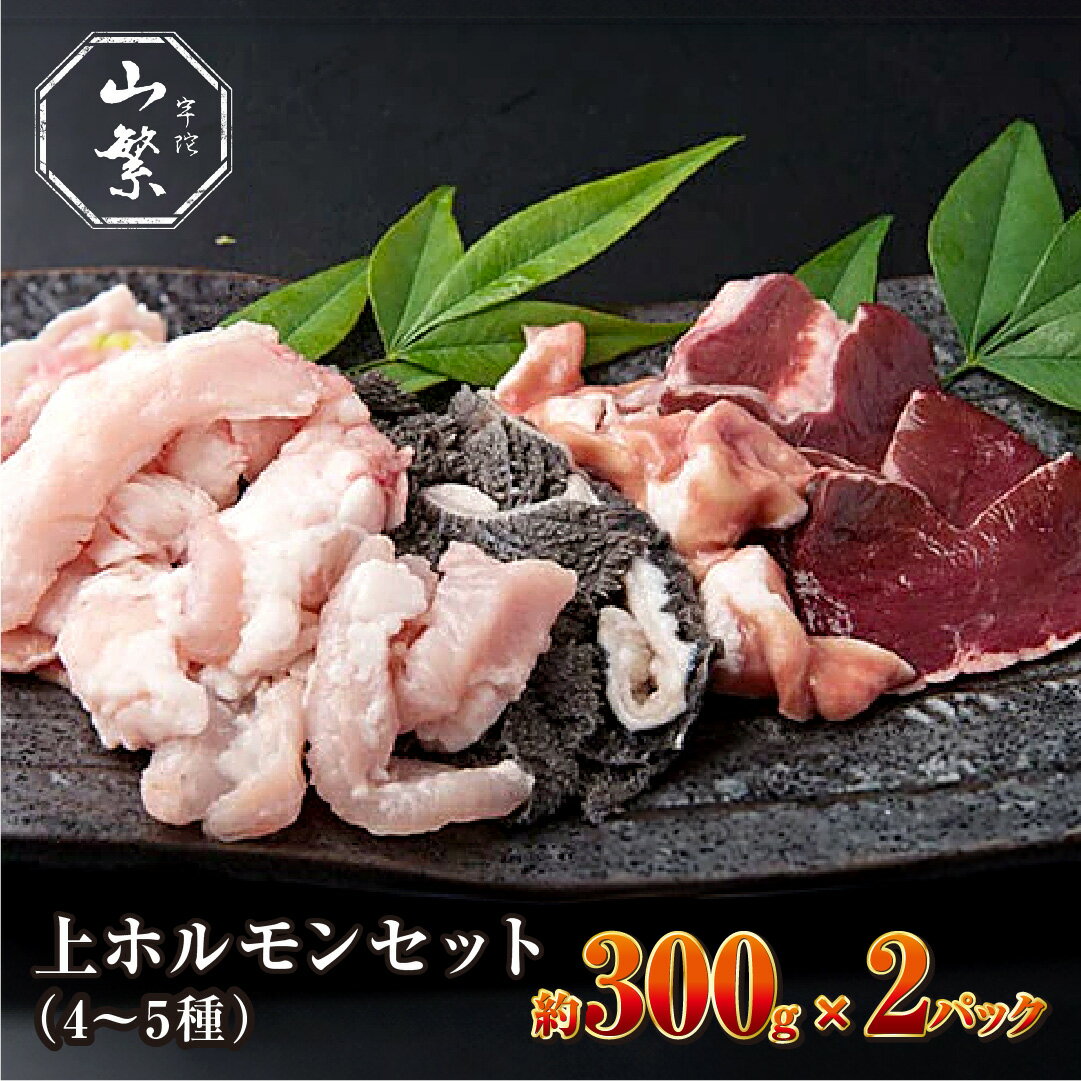 (冷凍)宇陀牛　黒毛和牛　上ホルモンセット（4~5種）　約300g×2パック