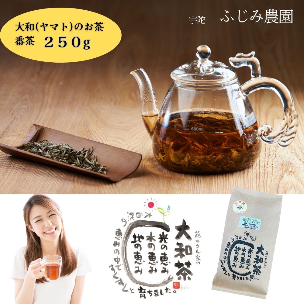 4位! 口コミ数「0件」評価「0」大和(ヤマト)のお茶 番茶 250g ／ ふじみ農園 荒茶 無農薬 無化学肥料 奈良県 宇陀市 大和高原