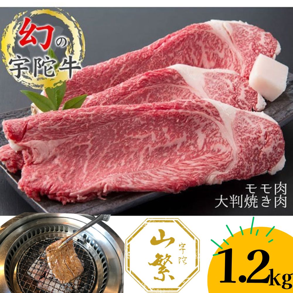 【ふるさと納税】(チルド)宇陀牛　黒毛和牛　モモ肉　大判　焼