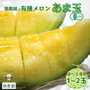【ふるさと納税】\予約販売/ >有機メロン<選べる個数>「甘玉」/メロン 有機 甘玉 贈答 ギフト お盆 お供え デザート おいしい 奈良県 宇陀市 類農園