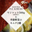 【ふるさと納税】ヤンニョム500g &季節野菜のキムチ2種(各500g)/ キムチ ヤンニョムソース 赤キムチ 白キムチ 料理 グルメ INA Lab INA KIMCHI 取り寄せ 室生 奈良県 宇陀市