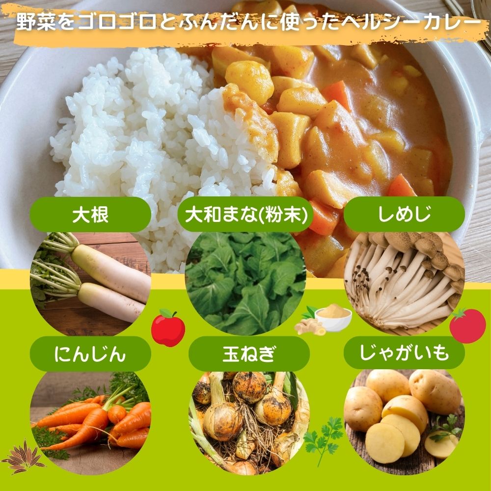 【ふるさと納税】＜選べる箱数＞農家のたっぷり野菜カレー 10箱・20箱・30箱／レトルトカレー 詰め合わせ ギフト 10食 20食 30食 野菜 ふるさと 有機野菜 オーガニック 飯 簡単 時短 保存食 奈良県 宇陀市 山口農園