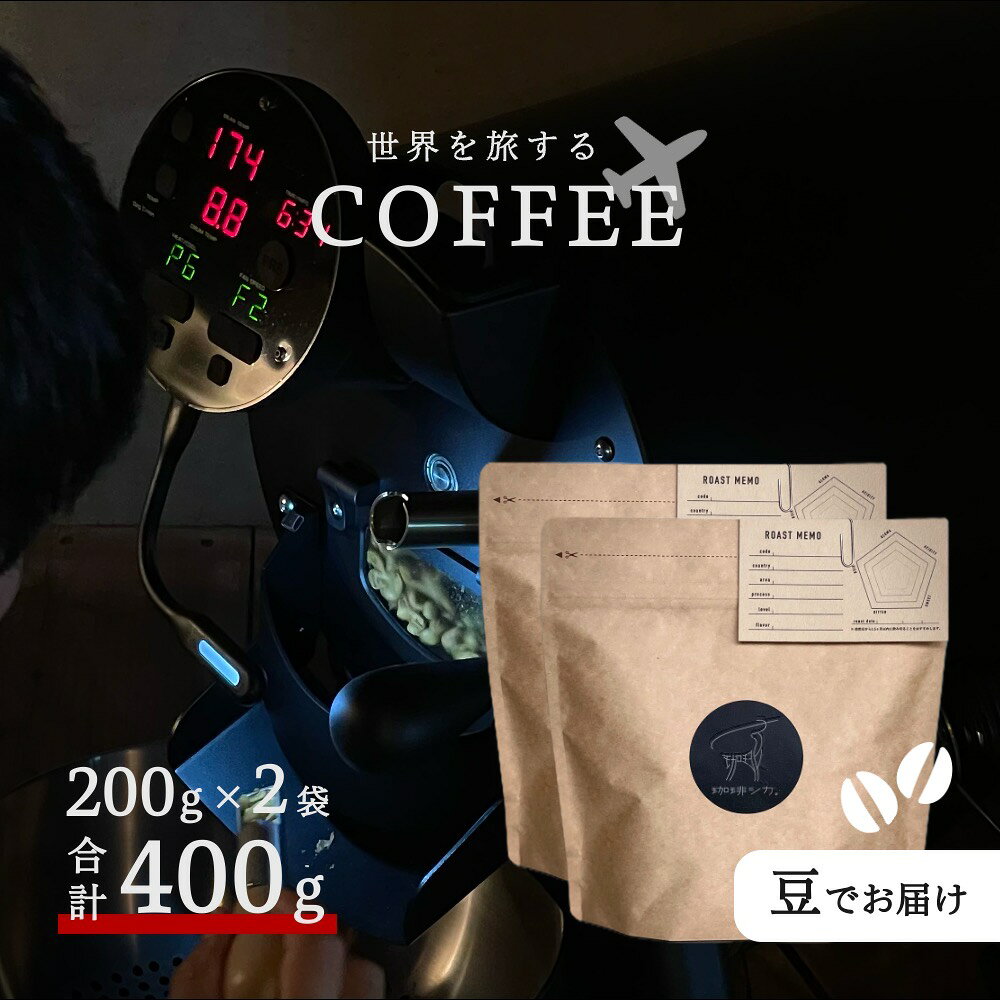 店主おまかせ中煎り2種セット 200g×2袋