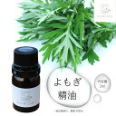 【ふるさと納税】よもぎ 精油 2ml/ フツ屋 アロマ オイル トリートメント 蓬 無農薬 無添加 奈良県 宇陀市