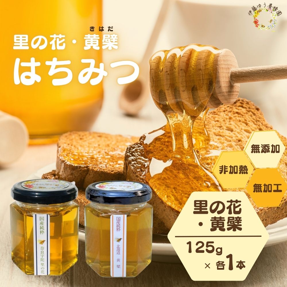 【ふるさと納税】国産 純粋 はちみつ 里の花 125g 黄檗 125g (各1本)／ 蜂蜜 ハチミツ 非加熱 無添加 ..