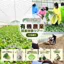 【ふるさと納税】有機農業 就業体験 ツアー お土産付 10名様迄/ 収穫体験 種まき トラクター 農家 有機野菜 オーガニック 無農薬 SDGs 関西 チケット カレー 山口農園 奈良県 宇陀市