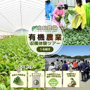 【ふるさと納税】有機農業 収穫体験 ツアー お土産付 5名様迄/ 農家 有機野菜 オーガニック 無農薬 SDGs 関西 チケット カレー 山口農園 奈良県 宇陀市