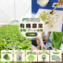 【ふるさと納税】有機農業 染物 アート 体験 お土産付 5名様迄/ 畑見学 食べられる染料 Nara Green 抹菜 農家 有機野菜 オーガニック 無農薬 SDGs 関西 チケット カレー 山口農園 奈良県 宇陀市