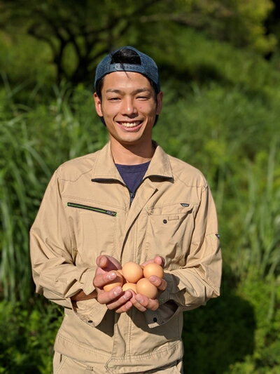 【ふるさと納税】（冷蔵）美味しい　平飼い　飛鳥の卵　80個／古都　風雅ファーム　鶏卵　たまご　玉子　奈良県　宇陀市