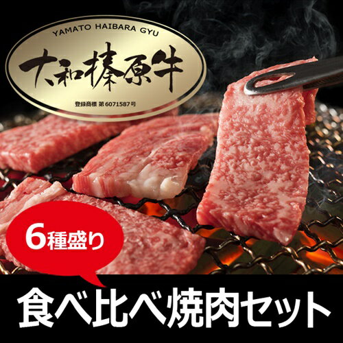 (冷凍) 大和榛原牛 焼肉 6種盛り/うし源本店 牛肉 黒毛和牛 A5 キャンプ 奈良県 特産 ロース カルビ モモ ミスジ ウデ イチボ