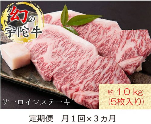 定期便 3ヶ月 宇陀牛 黒毛 和牛 サーロイン ステーキ 約 1kg ( 5枚入 ) 冷蔵 月1回 ／ 山繁 ふるさと納税 新鮮 牛 肉 キャンプ 肉通 マニア チルド 希少 生肉 奈良県 宇陀市