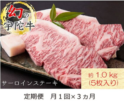 定期便 3ヶ月 宇陀牛 黒毛 和牛 サーロイン ステーキ 約 1kg ( 5枚入 ) 冷蔵 月1回 ／ 山繁 ふるさと納税 新鮮 牛 肉 キャンプ 肉通 マニア チルド 希少 生肉 奈良県 宇陀市