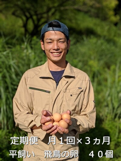 【ふるさと納税】定期便 3ヶ月 美味しい 平飼い 飛鳥の卵 40個 冷蔵 月1回 ／ 古都 風雅 ファーム ふるさと納税 たまご 玉子 鶏 卵 取り寄せ 新鮮 生食 安心 安全 健康卵 飛鳥 チルド 奈良県 宇陀市