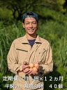 【ふるさと納税】定期便 12ヶ月 美味しい 平飼い 飛鳥の卵