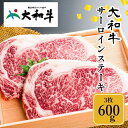 【ふるさと納税】 冷凍 大和牛 ステーキ サーロイン 200g 3枚 ／ 金井畜産 国産 ふるさと納税 肉 生産農家 産地直送 奈良県 宇陀市 ブランド牛