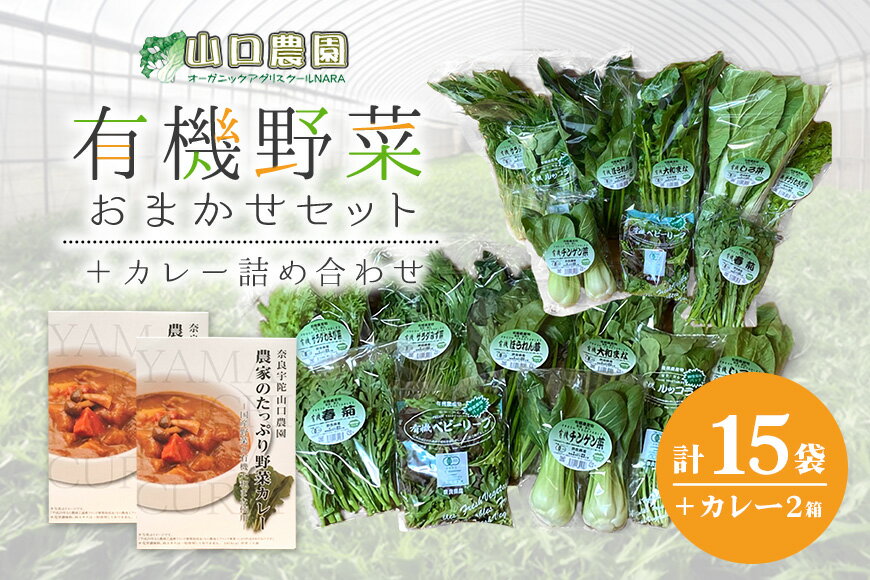 15位! 口コミ数「0件」評価「0」（チルド）山口農園　有機野菜　おまかせセット ＋ カレー2箱　詰合せ