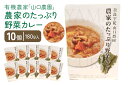 18位! 口コミ数「2件」評価「5」農家のたっぷり野菜カレー　10個／山口農園　有機野菜　オーガニック　伝統野菜　レトルト　カレー　キャンプ　奈良県　宇陀市