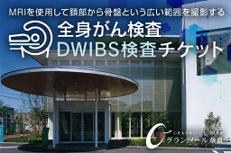 【ふるさと納税】DWIBS　全身がん検査／グランソール奈良　DWIBS　がん検査　奈良県　宇陀市