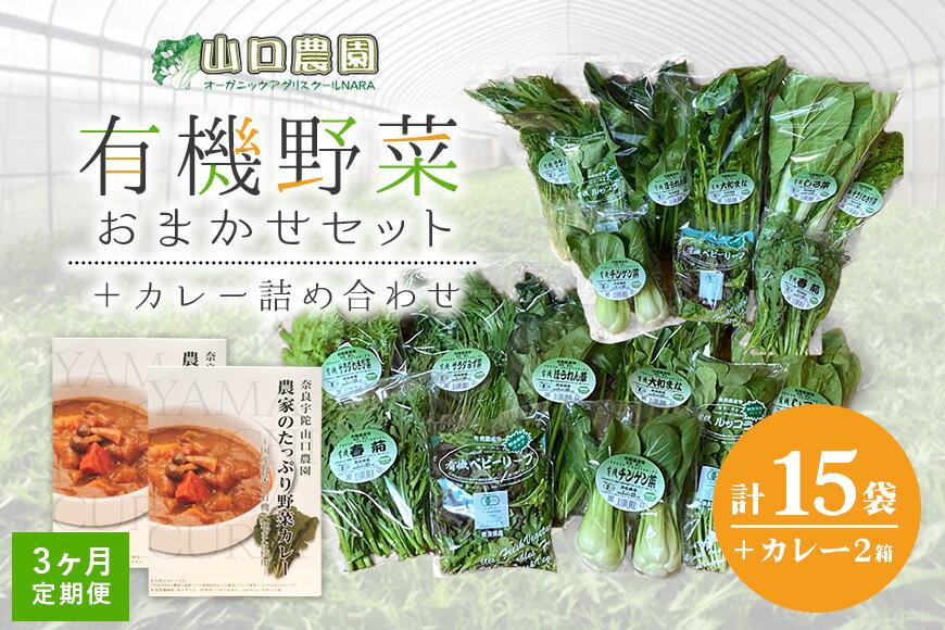 10位! 口コミ数「0件」評価「0」定期便 3ヶ月 山口農園 有機野菜 おまかせセット＋カレー2箱 詰合せ 冷蔵 月1回 ／ オーガニック 伝統野菜 レトルトカレー 奈良県 宇･･･ 