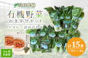 30位! 口コミ数「0件」評価「0」定期便 3ヶ月 山口農園 有機野菜 おまかせセット＋カレー2箱 詰合せ 冷蔵 月1回 ／ オーガニック 伝統野菜 レトルトカレー 奈良県 宇･･･ 