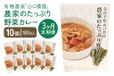 11位! 口コミ数「0件」評価「0」定期便 3ヶ月 農家のたっぷり野菜カレー 10個 月1回 ／ 山口農園 有機野菜 オーガニック 伝統野菜 レトルト カレー キャンプ 奈良県･･･ 