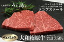 【ふるさと納税】（冷凍） 大和榛原牛 稀少部位 赤身 あっさり もも ランプ ステーキ 150g×5枚 計750g ／ うし源 本店 ふるさと納税 A5 牛肉 お肉 和牛 お取り寄せ 奈良県 宇陀市