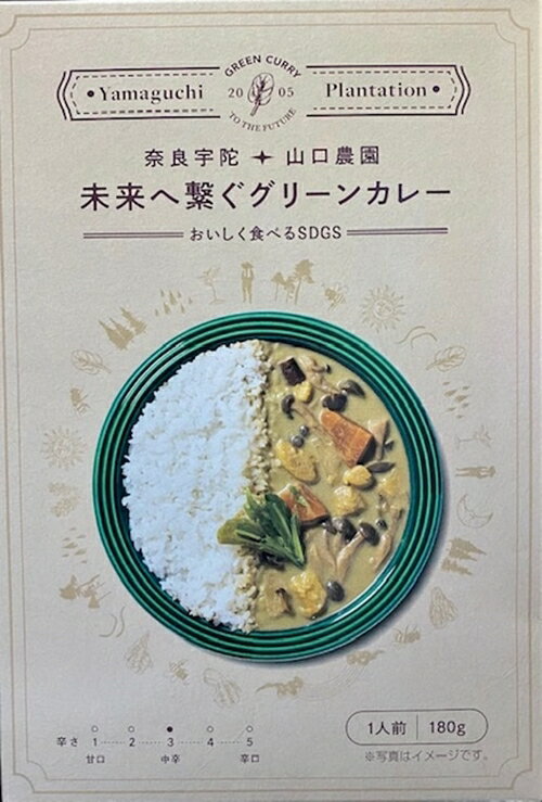 未来へ繋ぐグリーンカレー 10個 / 有機野菜 オーガニック 伝統野菜 レトルトカレー 奈良県 宇陀市