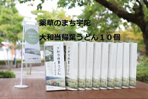 【ふるさと納税】薬草のまち宇陀　大和当帰葉うどん 10個／薬草　大和当帰葉　うどん　2食分　10個　...