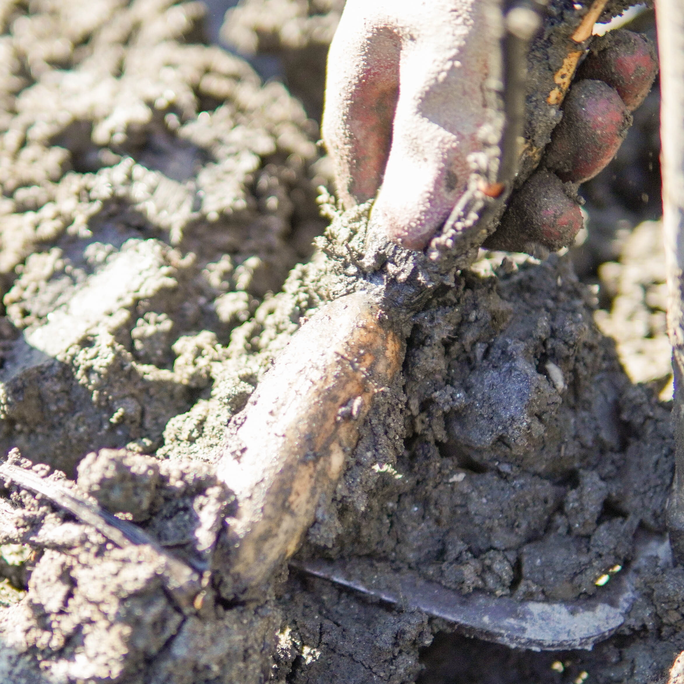 奈良県山添村の画像3