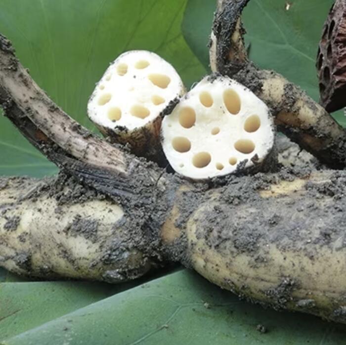 奈良県山添村の画像3