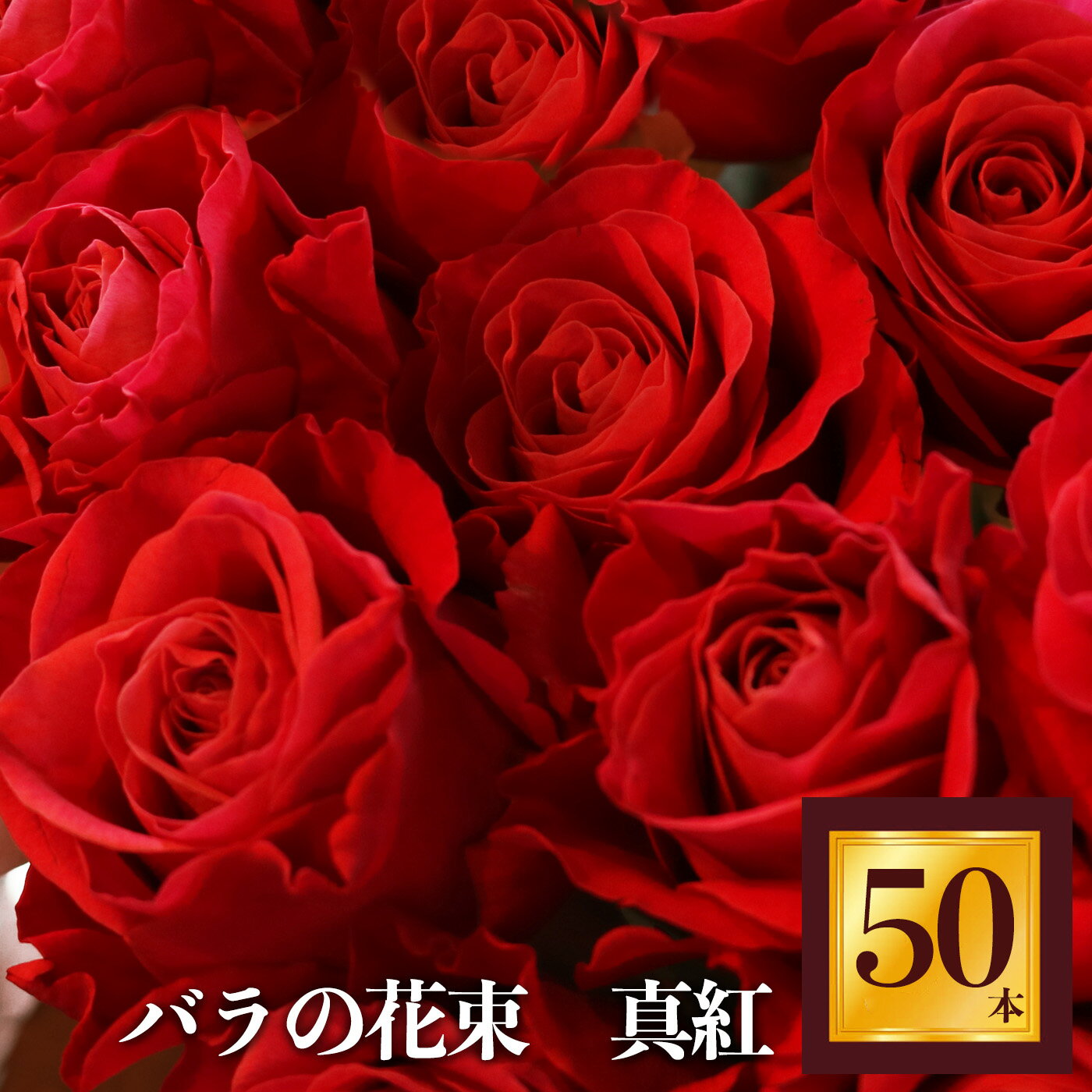 【ふるさと納税】Heguri Rose バラの花束 （赤バラ 50本）ローズ フラワー 薔薇 新鮮 高品質 豪華 真紅のバラ 綺麗 平群のバラ 花束 平群ブランド 誕生日 記念日 お祝い