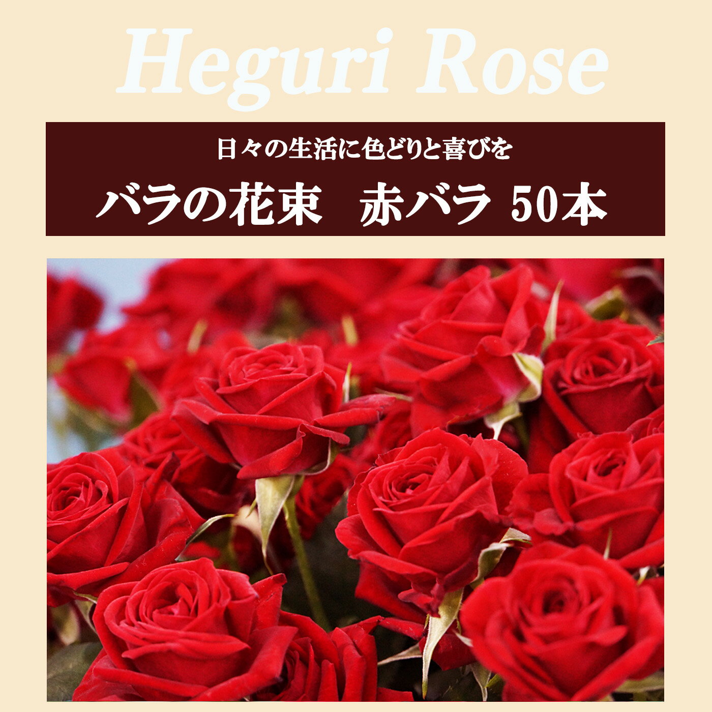 【ふるさと納税】Heguri Rose バラの花束 （赤バラ 50本）ローズ フラワー 薔薇 新鮮 高品質 豪華 真紅のバラ 綺麗 平群のバラ 花束 平群ブランド 誕生日 記念日 お祝い